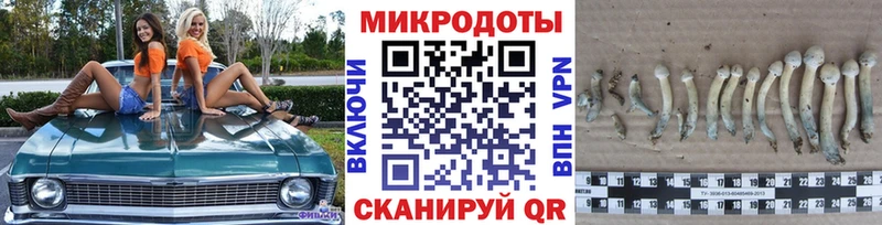 Галлюциногенные грибы MAGIC MUSHROOMS  цены наркотик  Колпашево 